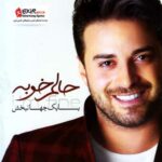 اهنگ میلرزه دلم تا صدام میزنی