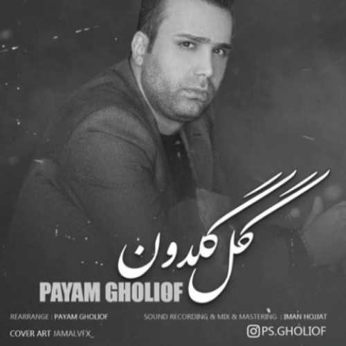 دانلود آهنگ پیام قلی اف گل گلدون دانلود آهنگ پیام قلی اف گل گلدون