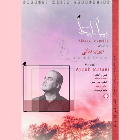 دانلود آهنگ ایوب متانی زیبای ناپیدا دانلود آهنگ ایوب متانی زیبای ناپیدا