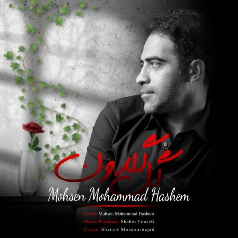دانلود آهنگ محسن محمد هاشم گل گلدون دانلود آهنگ محسن محمد هاشم گل گلدون