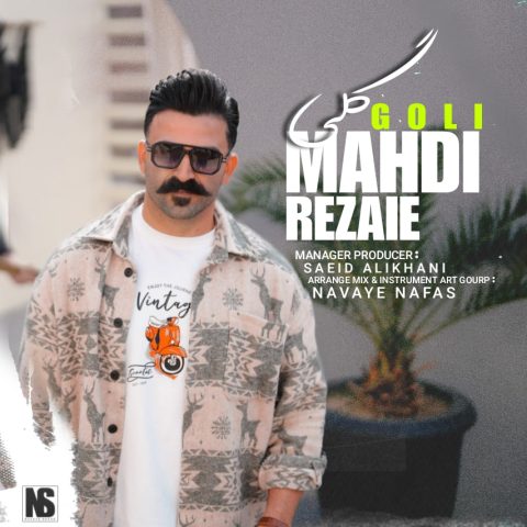 مهدی رضایی گلی مهدی رضایی گلی