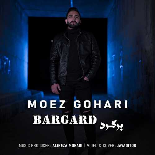معز گوهری برگرد معز گوهری برگرد