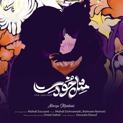 علیرضا میدانی مثل خودت‌