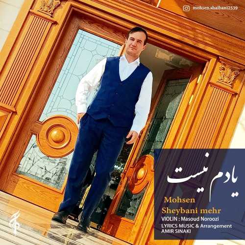 محسن شیبانی مهر یادم نیست