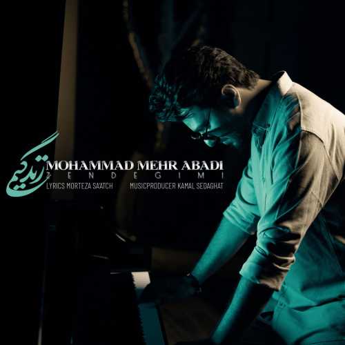 محمد مهرآبادی زندگیمی