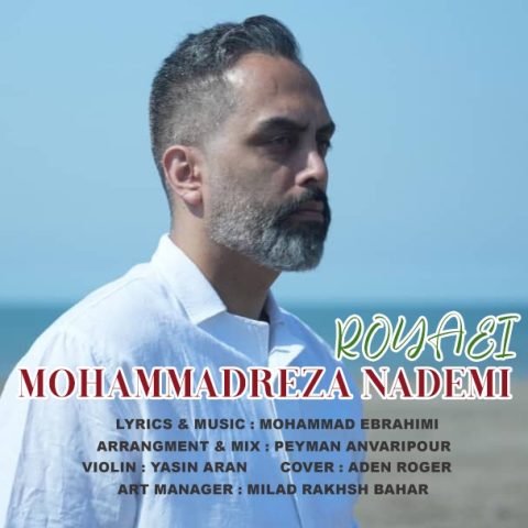 محمدرضا نادمی رویایی
