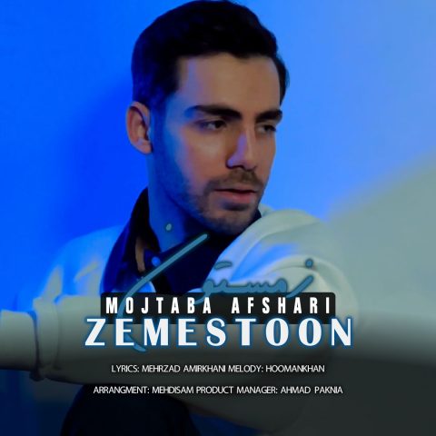 مجتبی افشاری زمستون