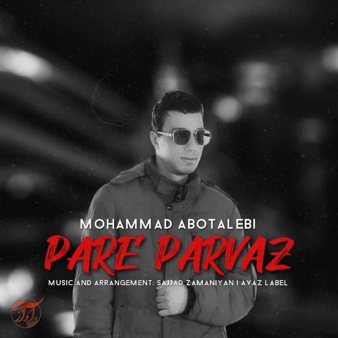 محمد ابوطالبی پر پرواز