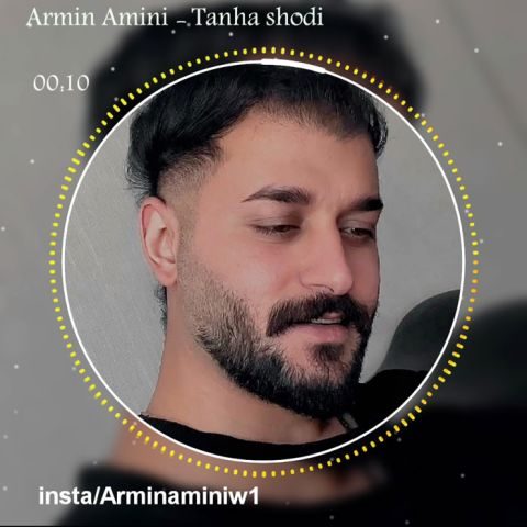 آرمین امینی تنها شدی