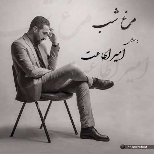 امیر اطاعت مرغ شب امیر اطاعت مرغ شب