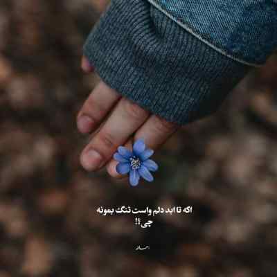 دانلود آهنگ امیر مقاره و امیر تتلو ما ادامه داریم هوش مصنوعی