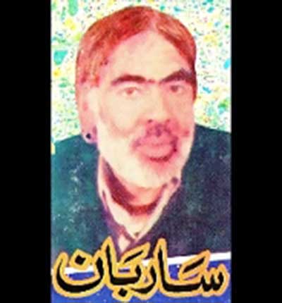 دانلود آهنگ ساربان ثریا چاره ام کن