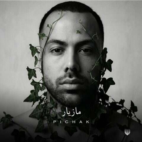 دانلود آهنگ مازیار ناصری پیچک دانلود آهنگ مازیار ناصری پیچک