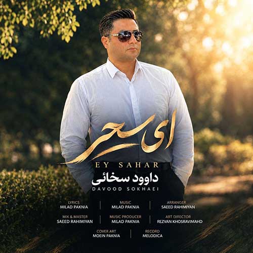 دانلود آهنگ داوود سخائی ای سحر