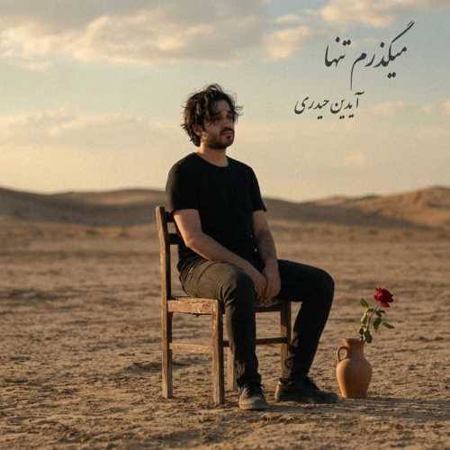 آیدین حیدری میگذرم تنها آیدین حیدری میگذرم تنها