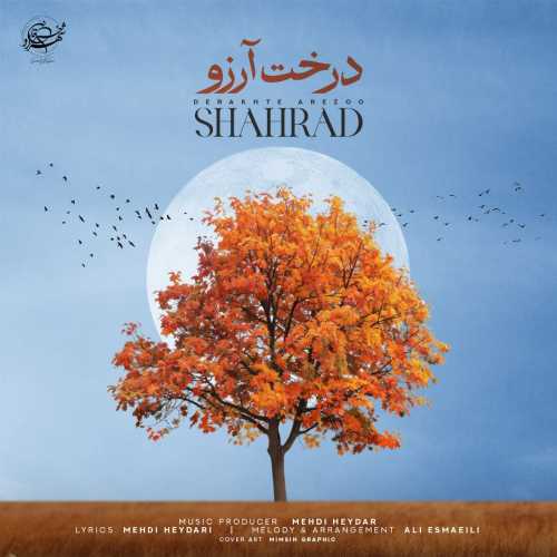 شهراد درخت آرزو شهراد درخت آرزو